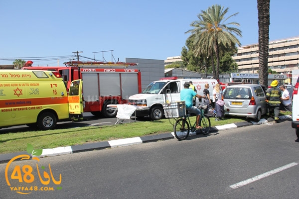 acc yaffa jasterret (4).JPG